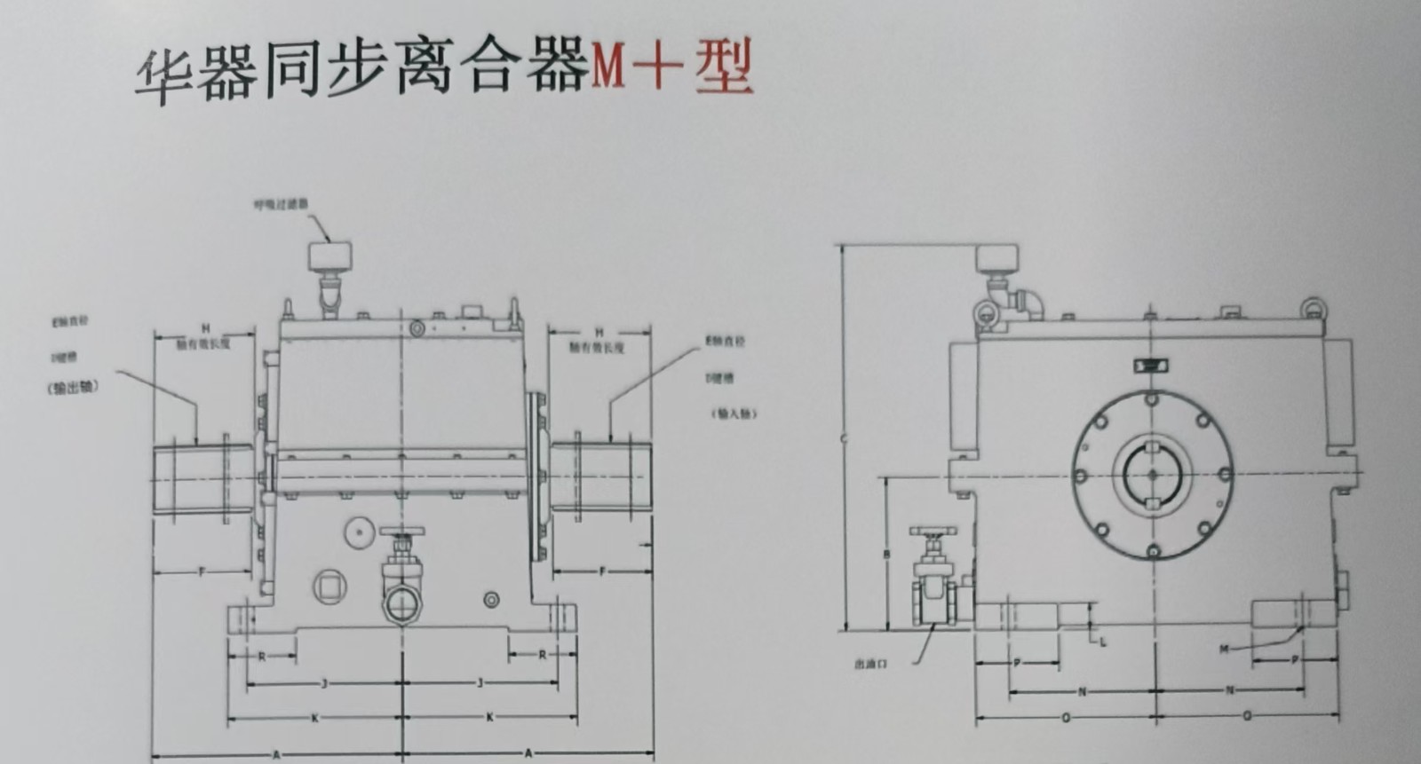 微信圖片_2025-03-05_170249_924.jpg